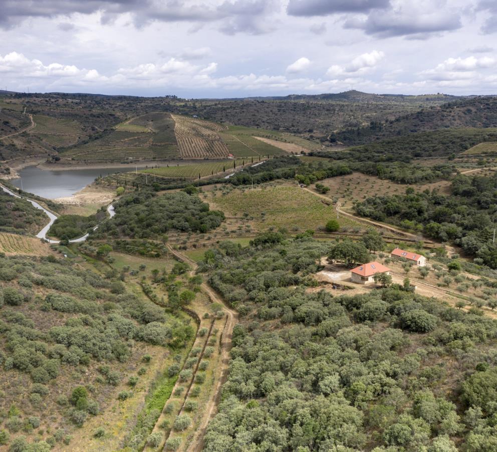 Quinta da Vineadouro – Family Vineyards & Wine Hotel